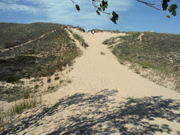 people at the top of a dune